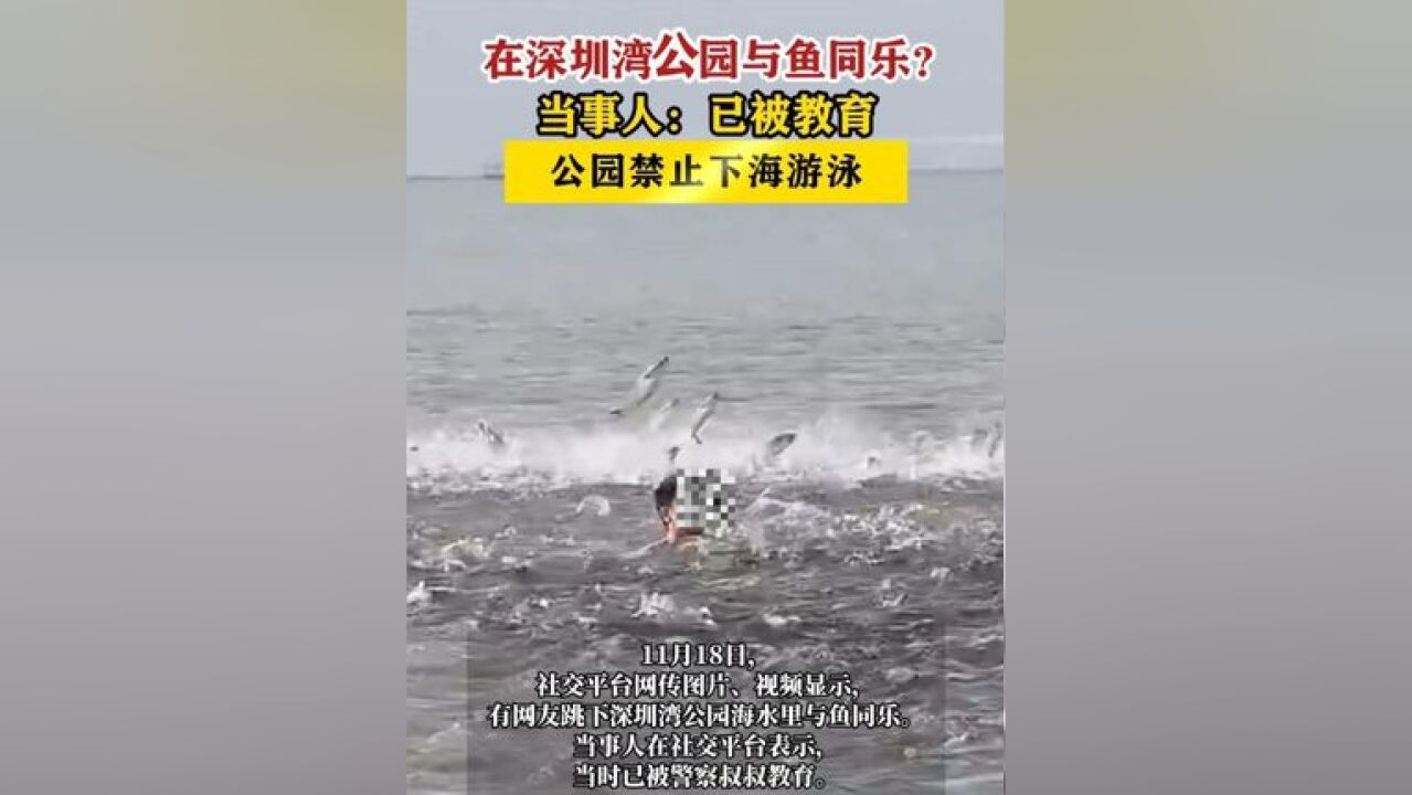 公园禁止下海游泳,请遵纪守法