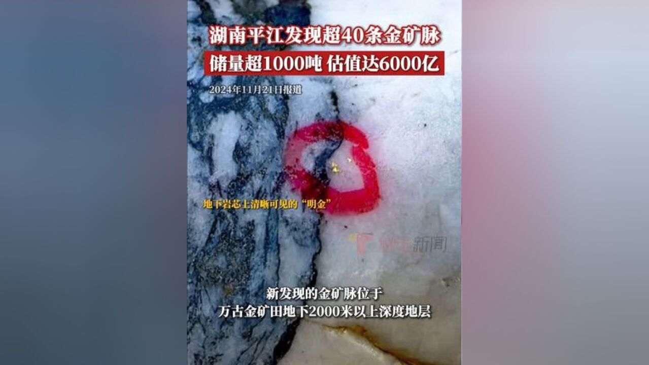 湖南平江发现超40条金矿脉 ,远景储量超1000吨,估值达6000亿元,中国工程院院士、中国地质科学院矿产资源研究所研究...