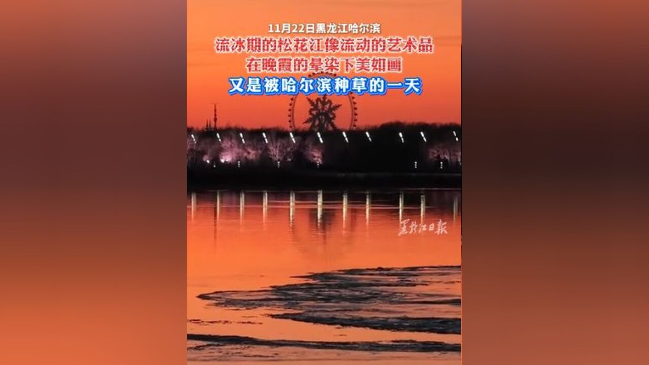 流冰期的松花江像流动的艺术品 在晚霞的晕染下美如画