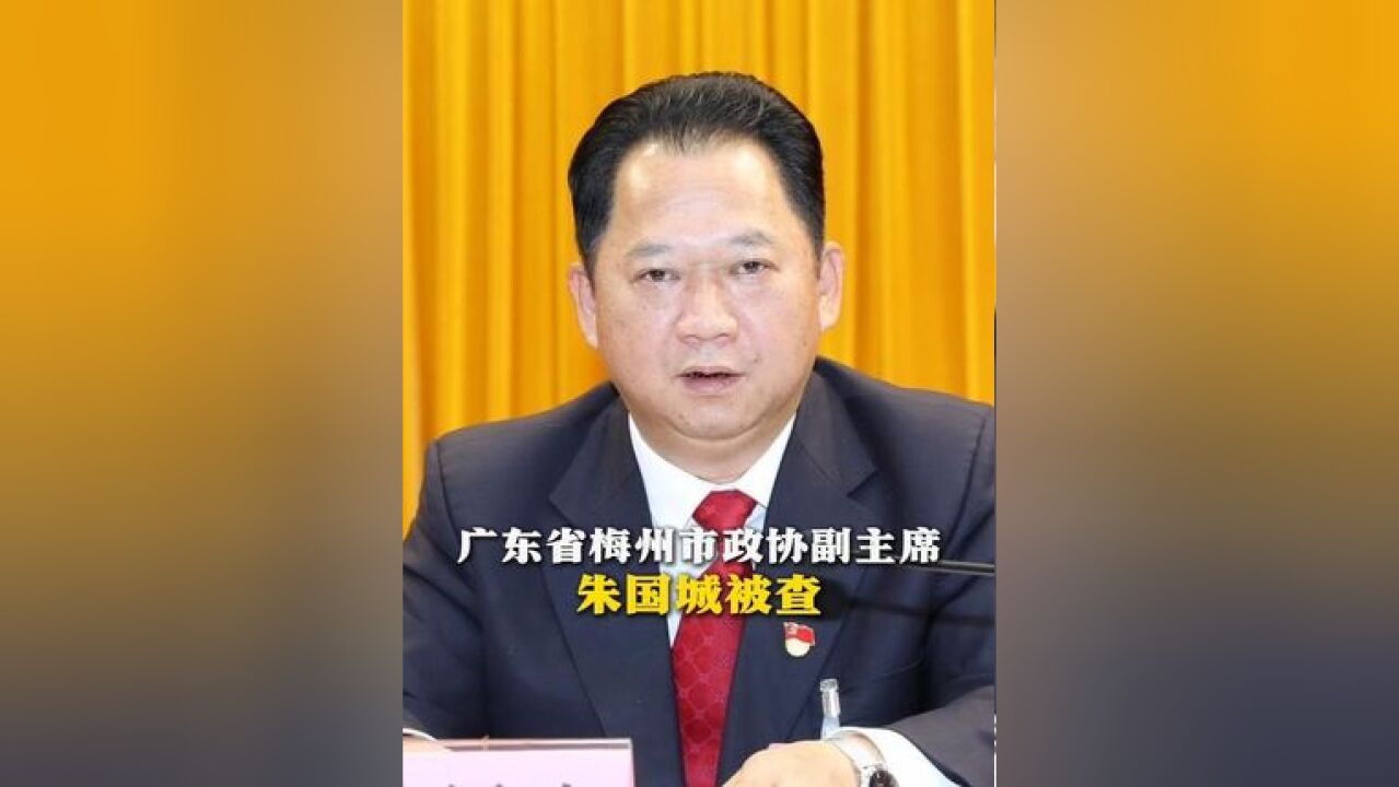 广东省梅州市政协副主席朱国城被查