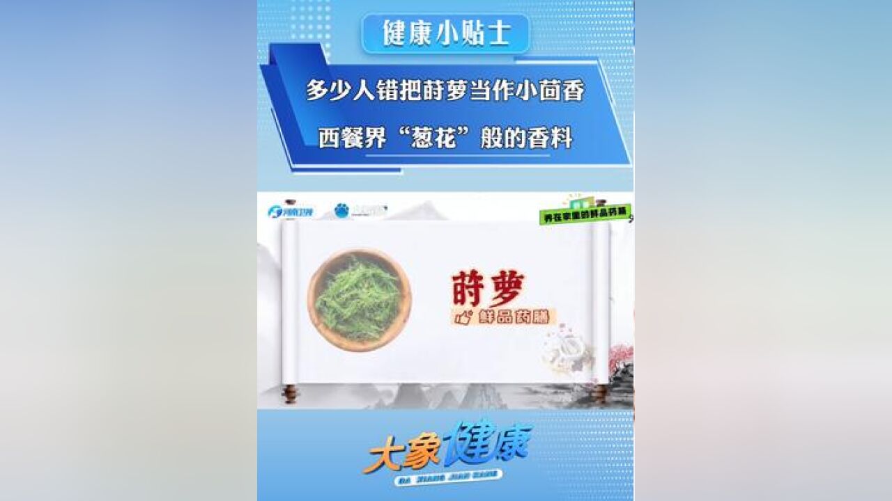 健康小贴士 |养在家里的鲜品药膳——莳萝 一起来看 河南省卫生健康委x河南卫视