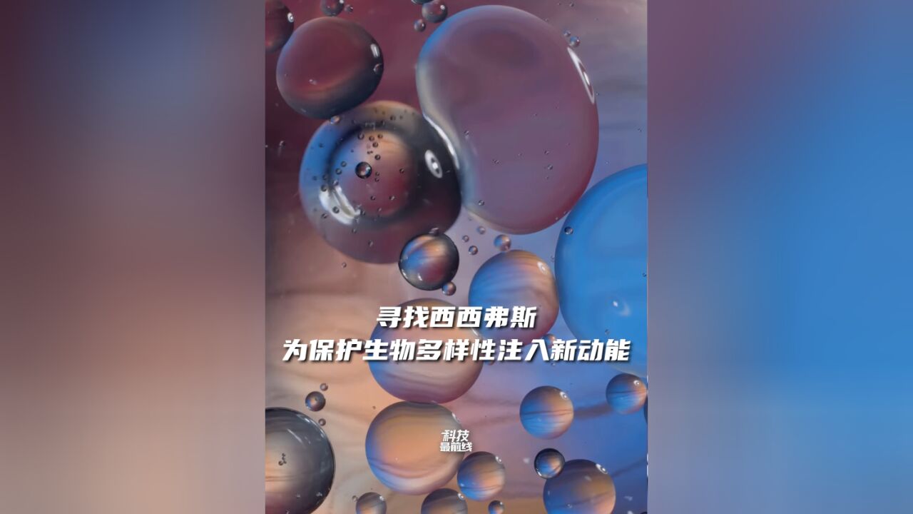 寻找西西弗斯,为保护生物多样性注入新动能