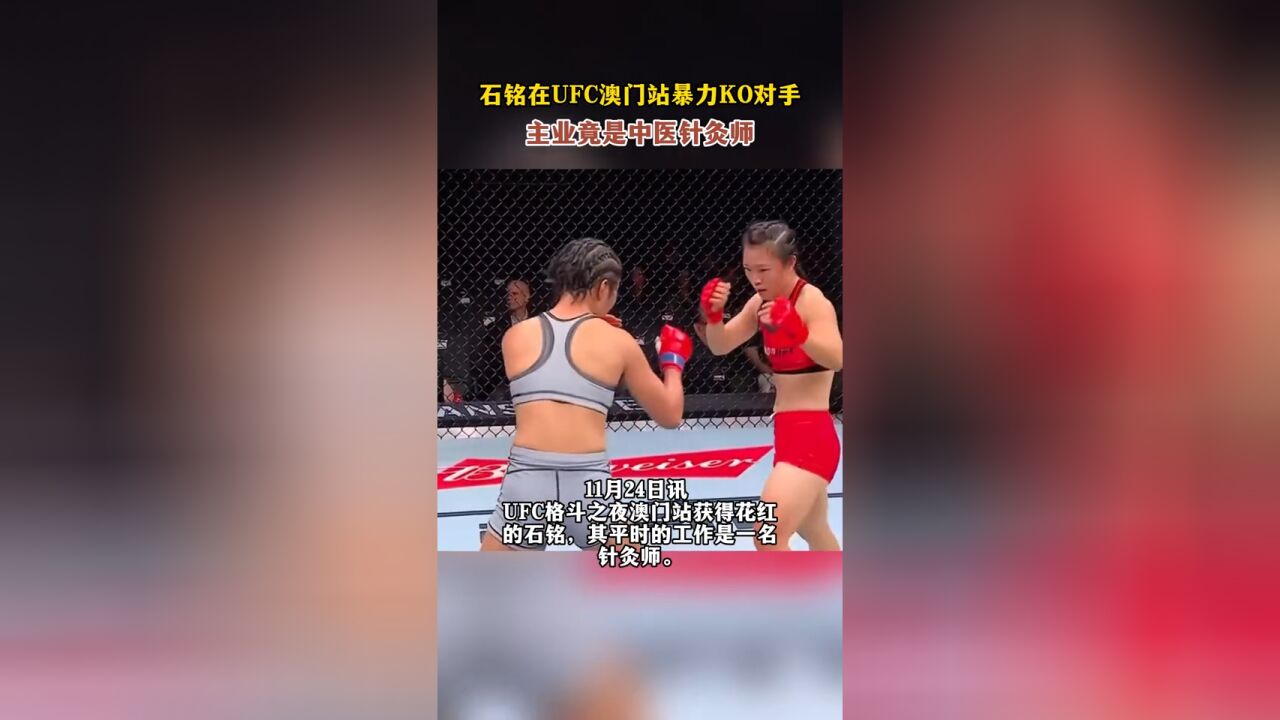 石铭在UFC澳门站暴力KO对手,主业竟是中医针灸师