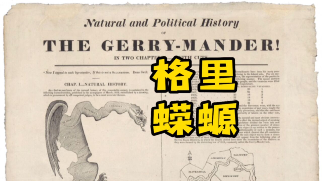 格里蝾螈(gerrymander):美国政治的“田忌赛马”,孙膑看了直呼内行!