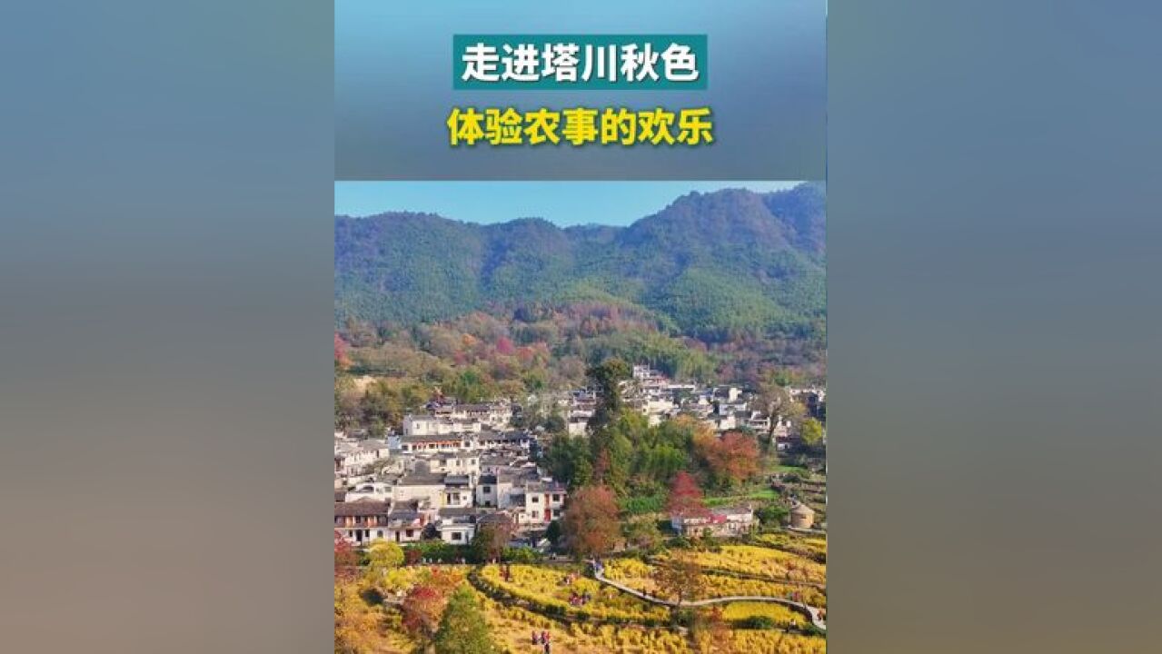 走进塔川秋色,体验农事的欢乐