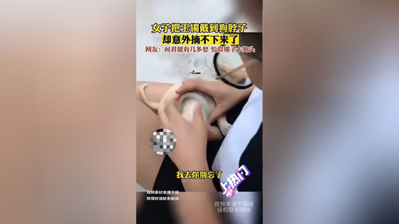 网友:问君能有几多愁,恰似镯子卡狗头