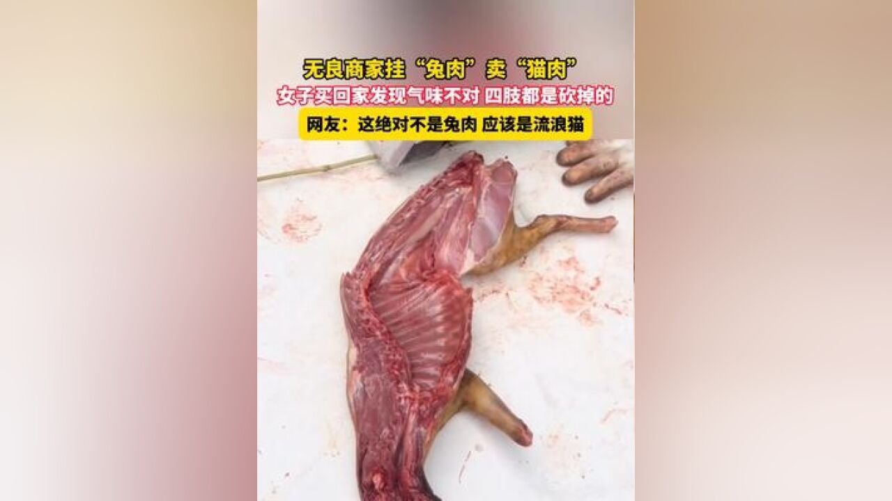 11月24日,广东,无良商家挂“兔肉”卖“猫肉”,女子买回家发现气味不对 四肢都是砍掉的,网友:这绝对不是兔肉 应该是流浪猫