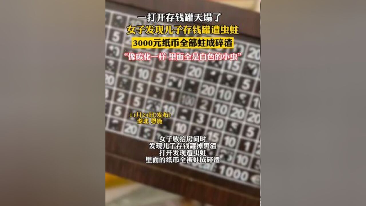 男孩存钱罐遭虫蛀3000元变碎渣