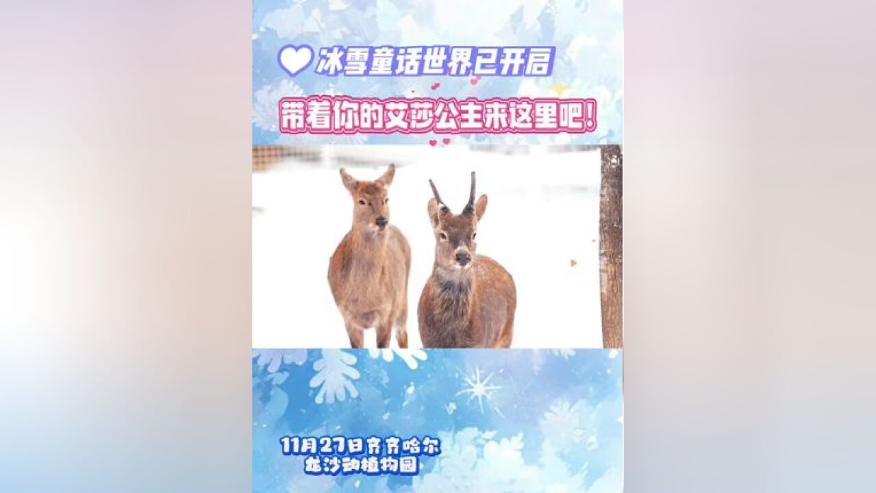 冰雪童话世界已经开启!带着你的艾莎公主来这里吧!