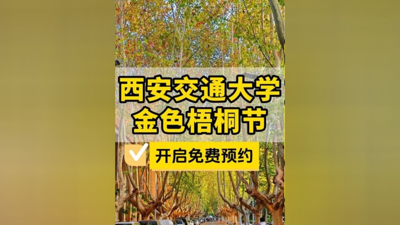 西安交大一年一度的金色梧桐节来啦 校外人员可近!西安交大一年一度的金色梧桐节来啦, 铺满了整个梧桐大道, 特别有深秋的浪漫