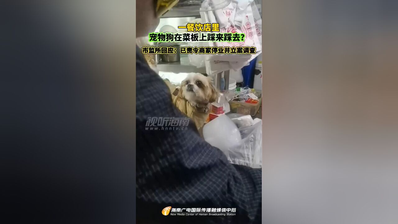 一餐饮店里宠物狗在菜板上踩来踩去?市监所回应:已责令商家停业并立案调查