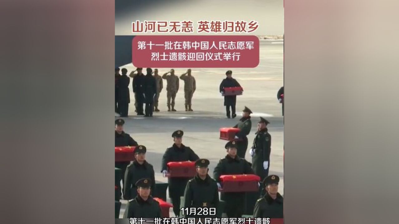 山河已无恙,英雄归故乡!第十一批在韩中国人民志愿军烈士遗骸迎回仪式在沈阳桃仙国际机场举行