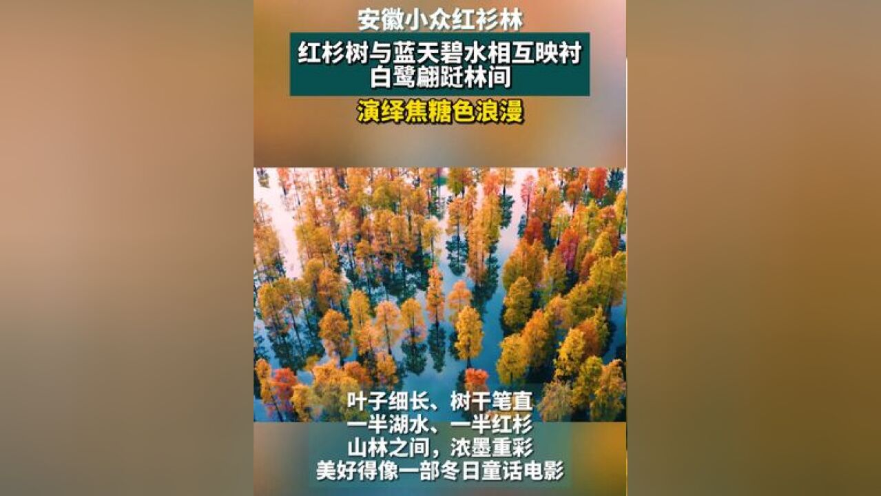 安徽小众童话之境,冬天的“焦糖色浪漫”