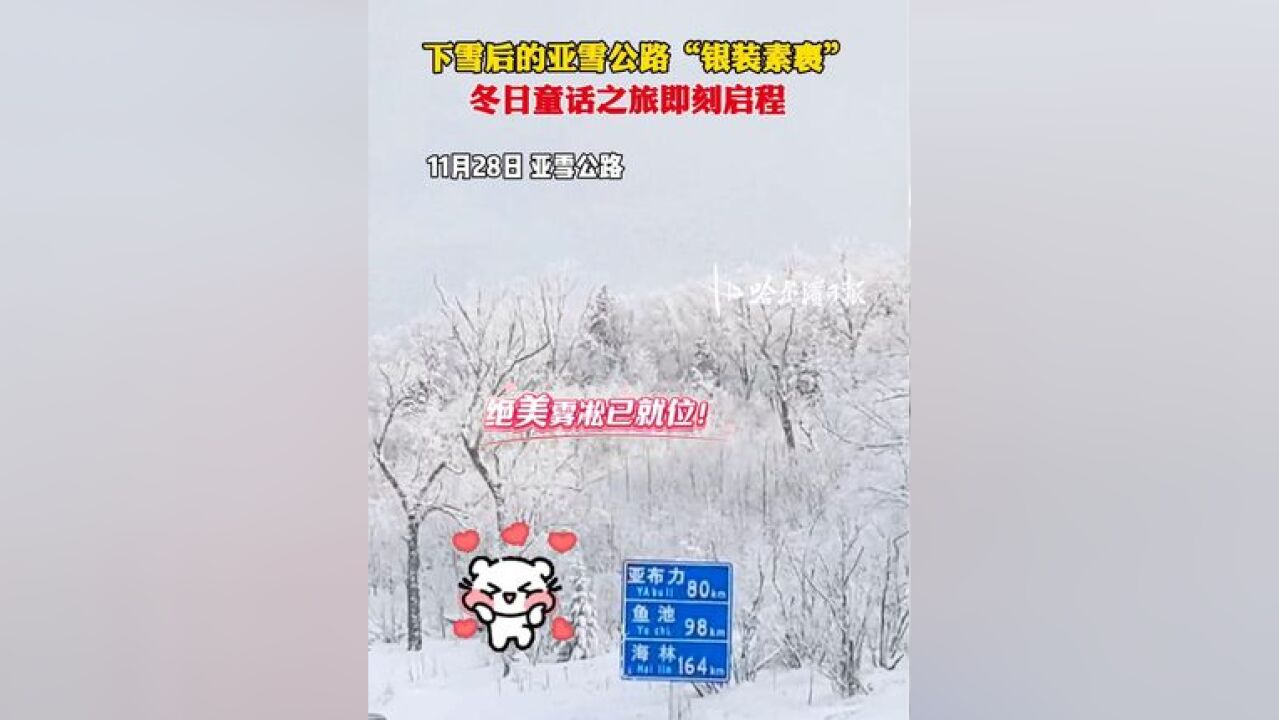 下雪后的亚雪公路“银装素裹”,冬日童话之旅即刻启程!