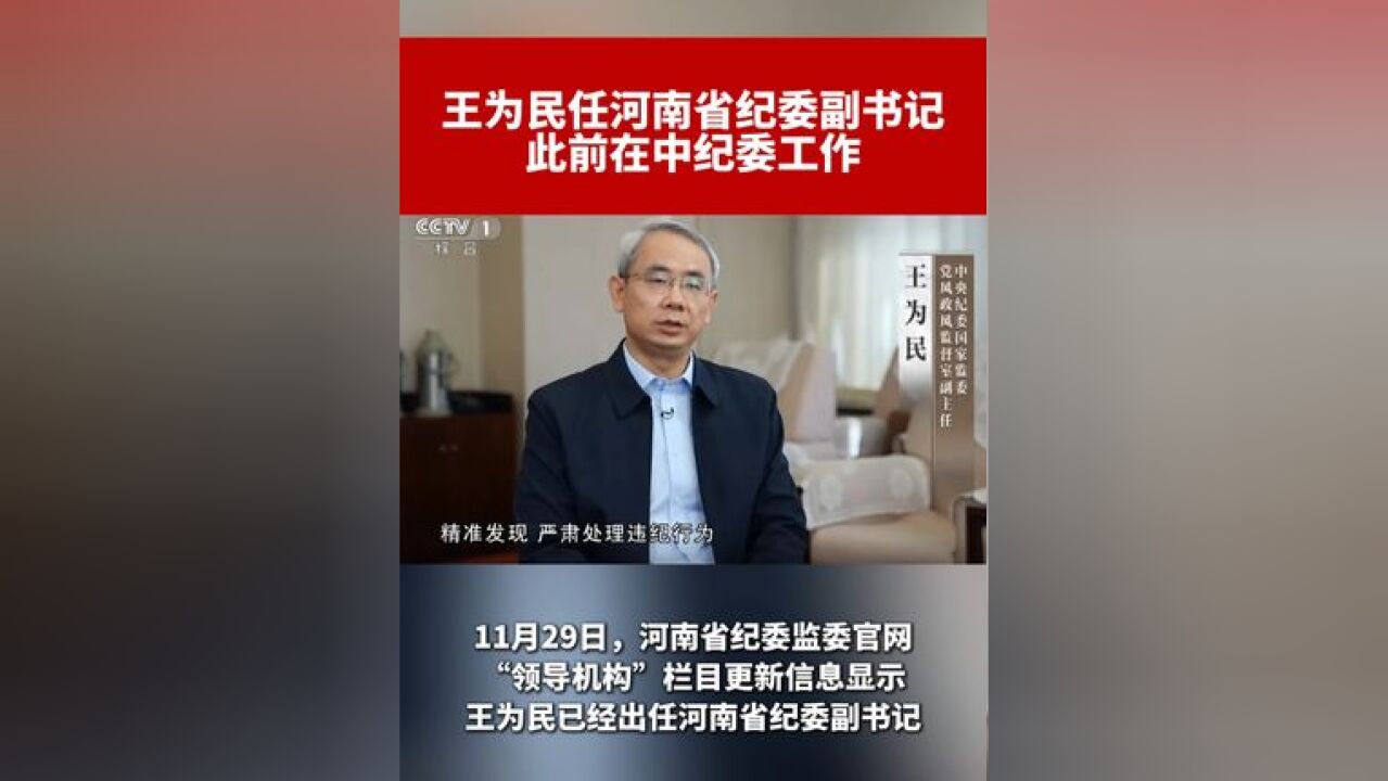 王为民任河南省纪委副书记,此前在中纪委工作