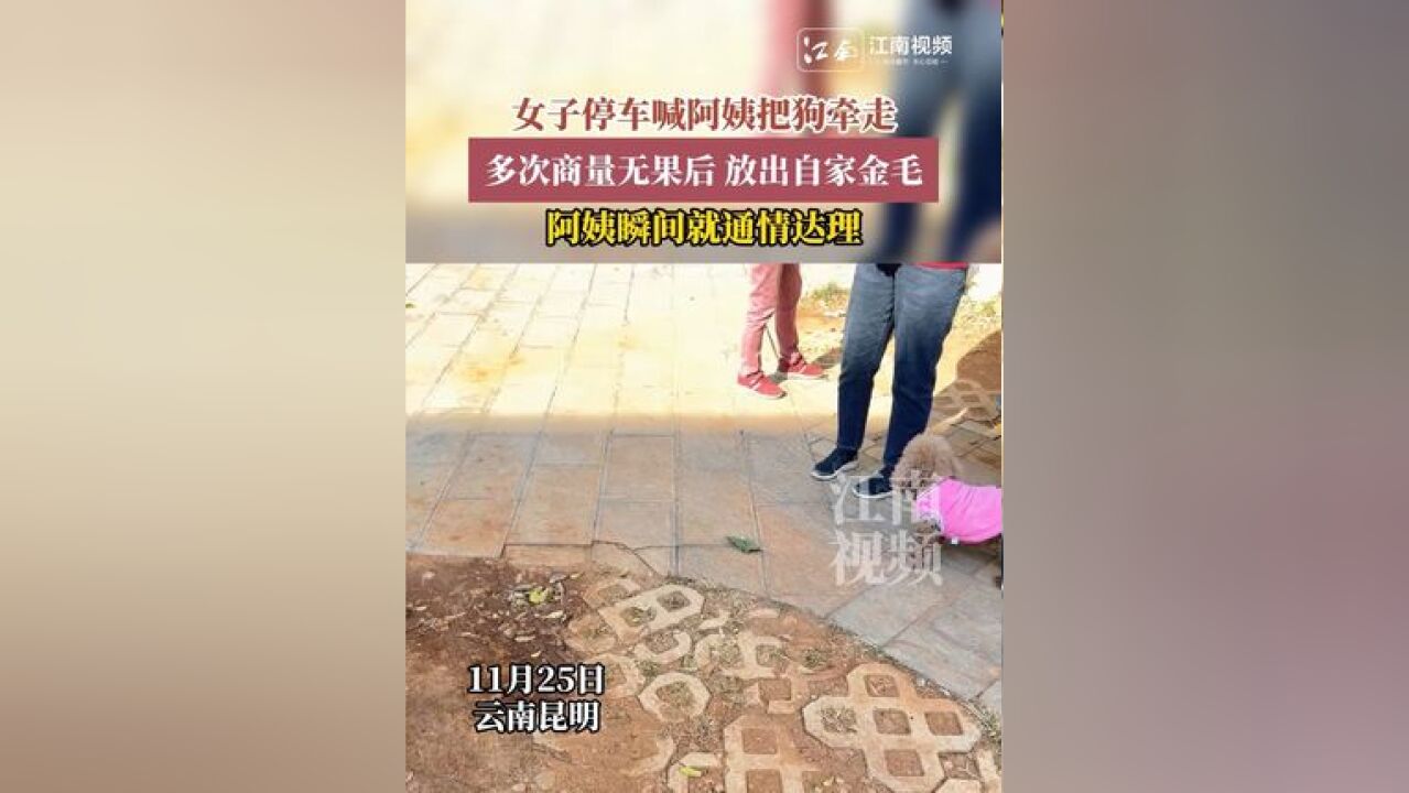 女子停车喊阿姨把狗牵走,多次商量无果后 放出自家金毛,阿姨瞬间就通情达理