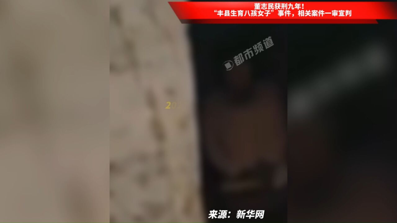 董志民获刑九年!“丰县生育八孩女子”事件,相关案件一审宣判