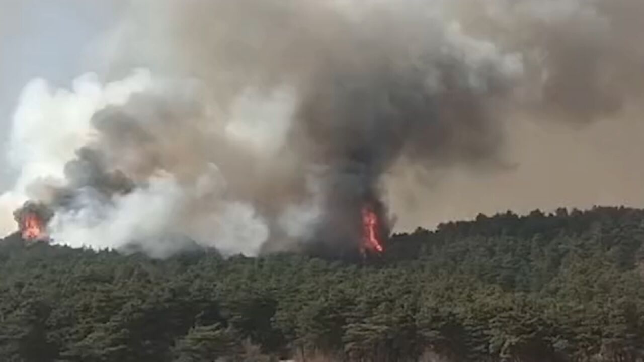 辽宁抚顺突发森林火灾,现场浓烟滚滚遮天蔽日,大批救援队前往扑救