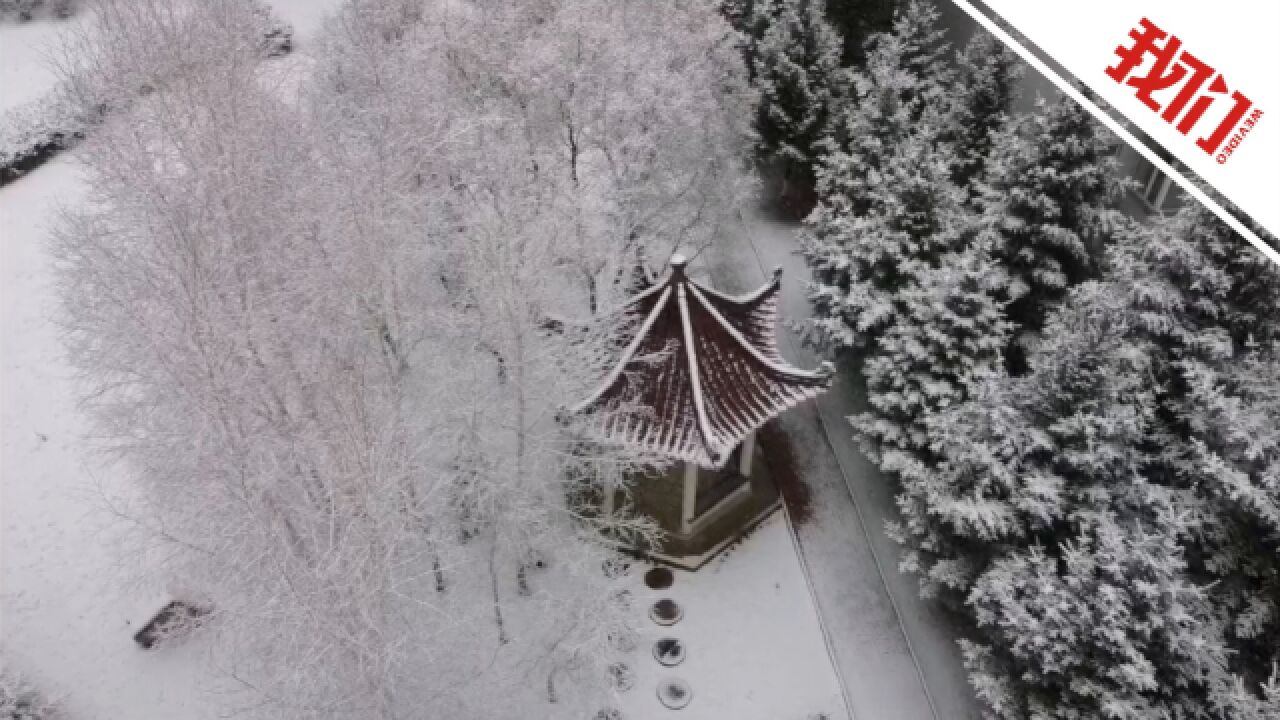 “雨生百谷”之时 黑龙江北部迎来大雪景色唯美