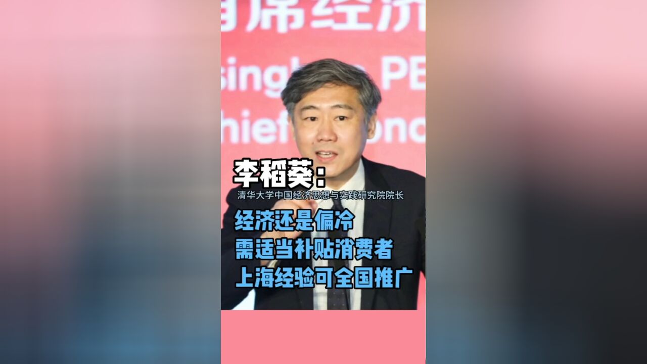 经济学家李稻葵:必须认识到经济还是偏冷的,短期内可适当补贴消费者……