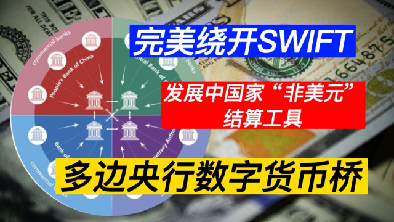 去美元化② 发展中国家 拥有了“非美元”结算工具 拥有了多货币结算体系