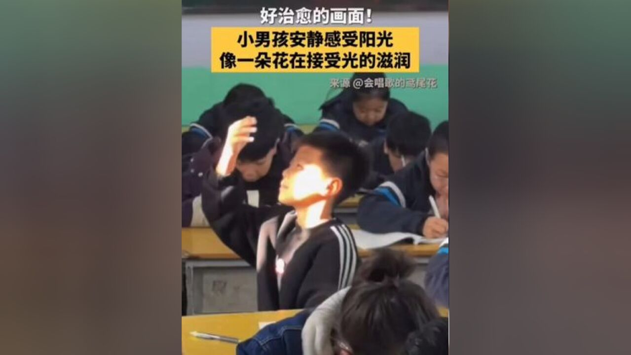 好治愈的画面!阳光透过窗户洒进教室,小男孩安静感受阳光,网友:像一朵花在接受阳光的滋润