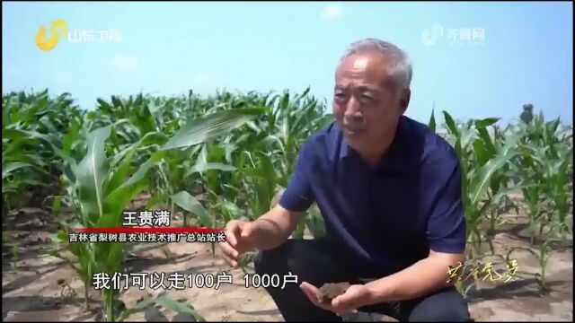 为推广黑土地保护技术,他起早贪黑挨个村子跑,动员农民