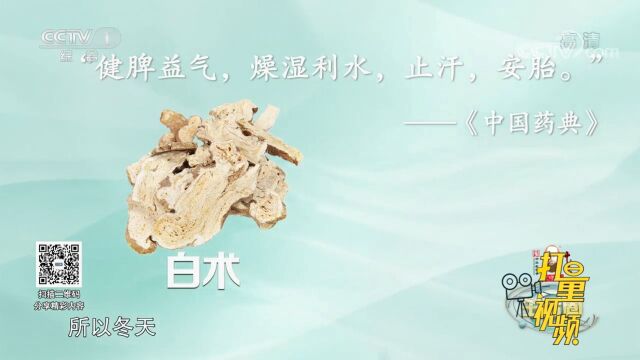 白术具有健脾除湿的功效,适用于没食欲、水肿、腹泻等症状