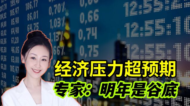 经济到底有多难?专家:下行压力远超预期,2024年是谷底