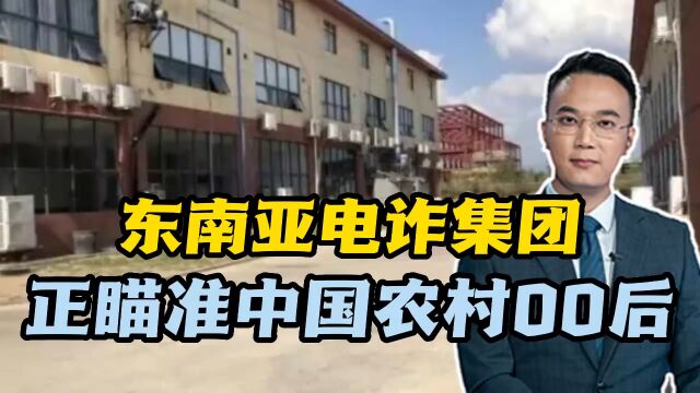 东南亚电诈集团,正瞄准中国农村00后?