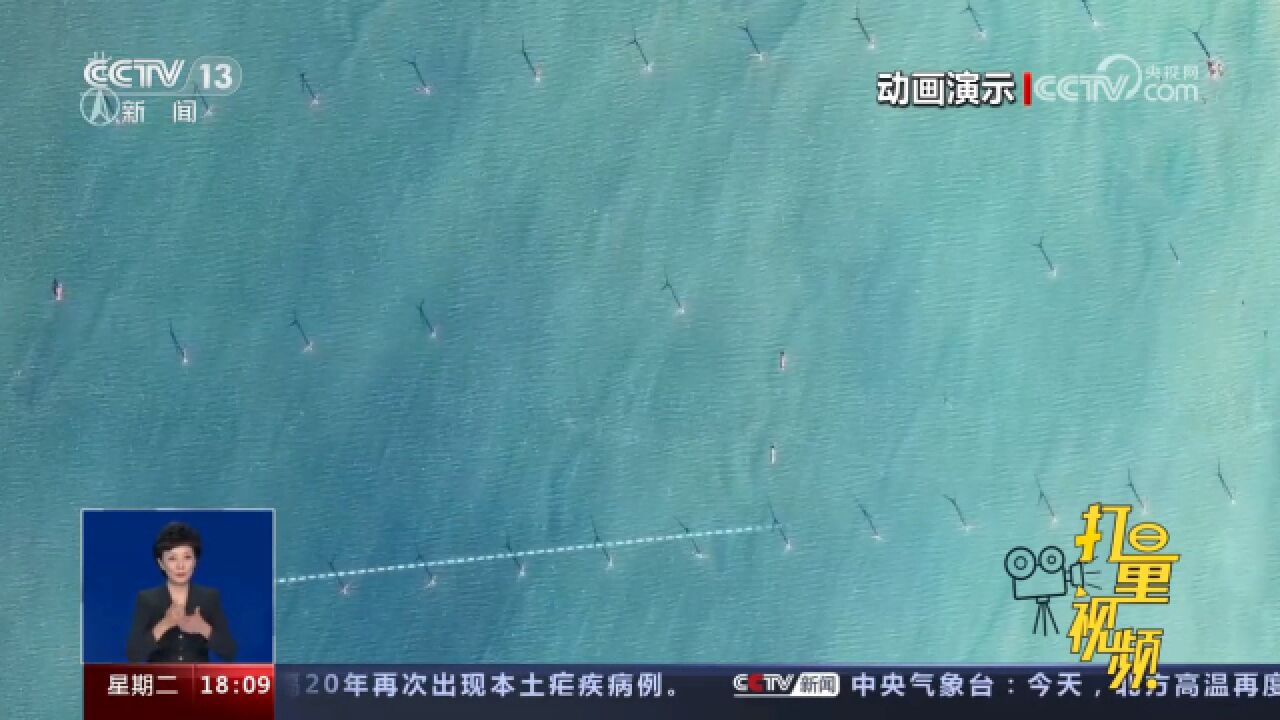 海上风机如何“排兵布阵”获得最大发电量?