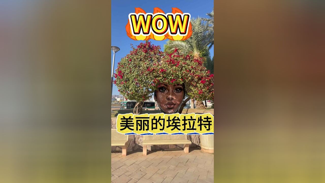 美丽的埃拉特#以色列