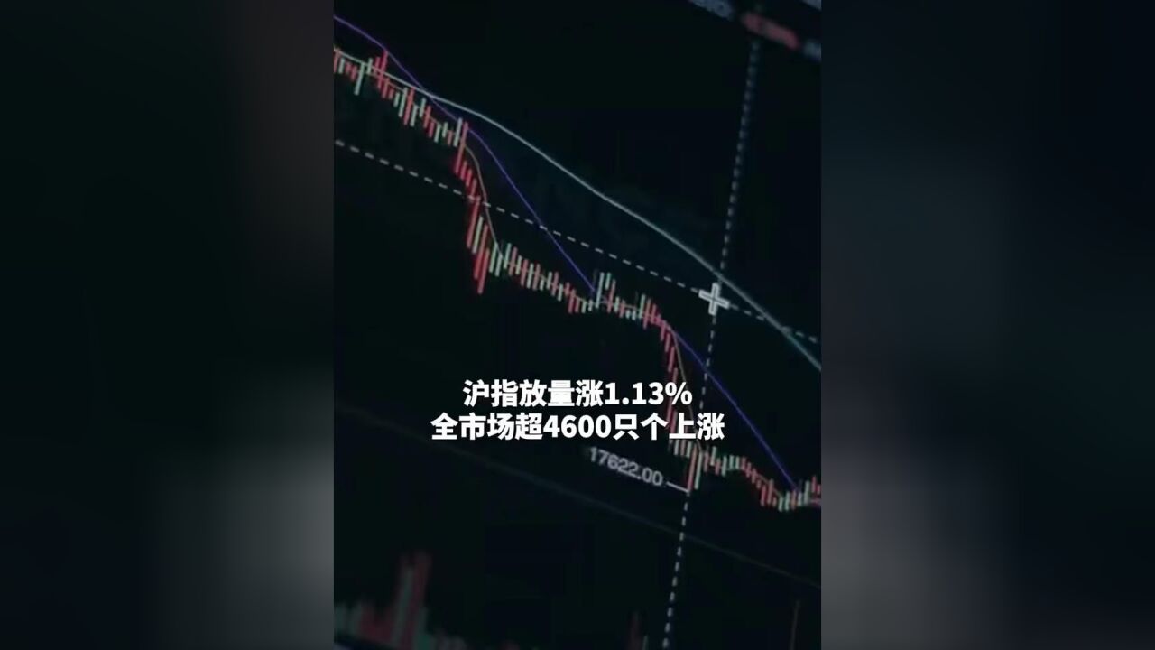 沪指放量涨1.13%, 全市场超4600只个上涨 #A股