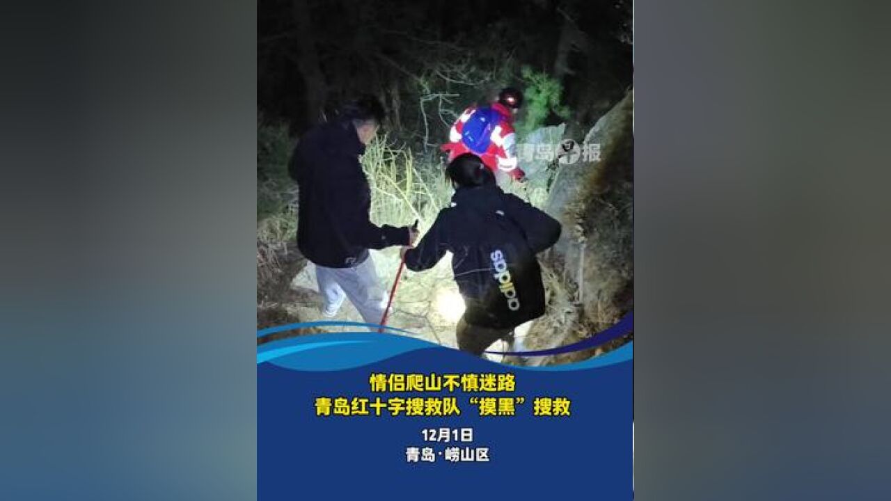 情侣携带宠物狗爬山不慎迷路,青岛红十字搜救队“摸黑”搜救