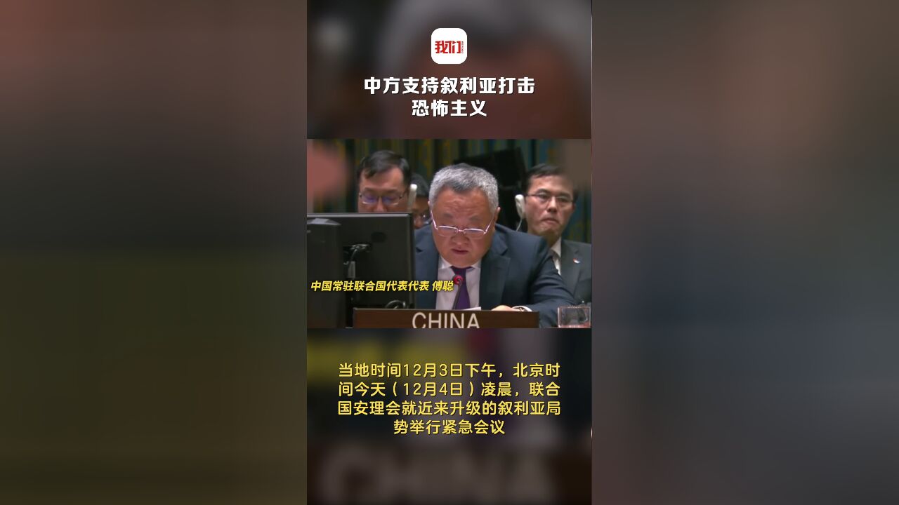 中方支持叙利亚打击恐怖主义 外国军队必须结束在叙非法军事存在