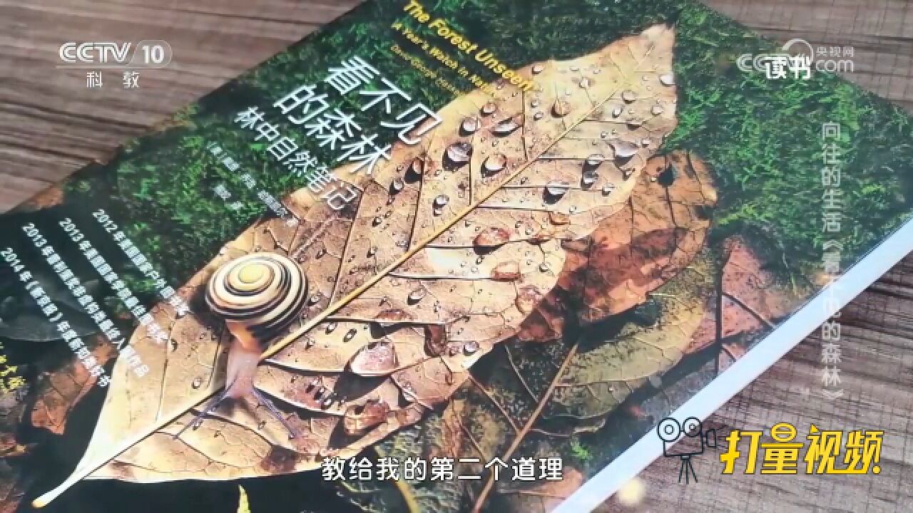 《看不见的森林》:任何一个森林无论大小都是个惊人复杂的合作体