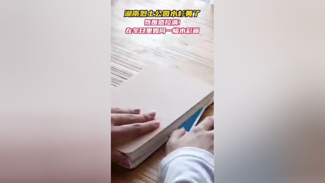 湖南烈士公园水杉黄了,氛围感拉满!在冬日里如同一幅水彩画 #一秒让你心动的冬日美景 #长沙 #关于水杉你了解多少