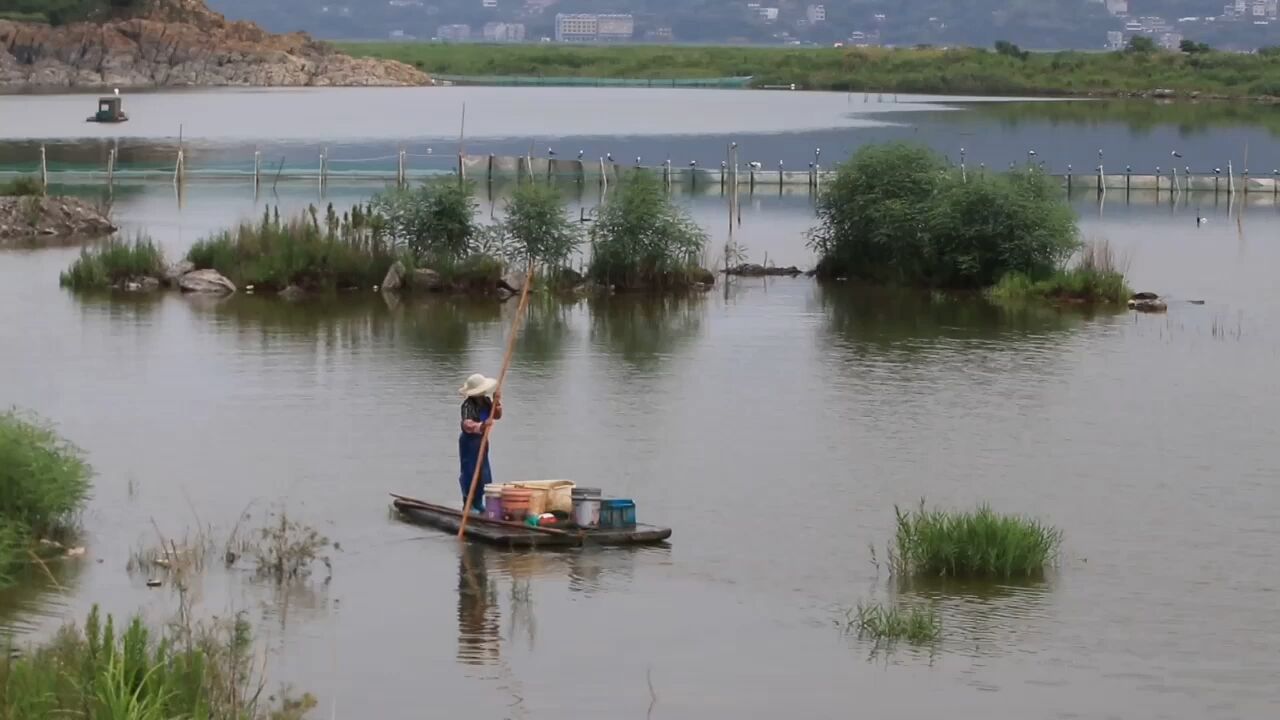 浙江温岭水乡渔歌