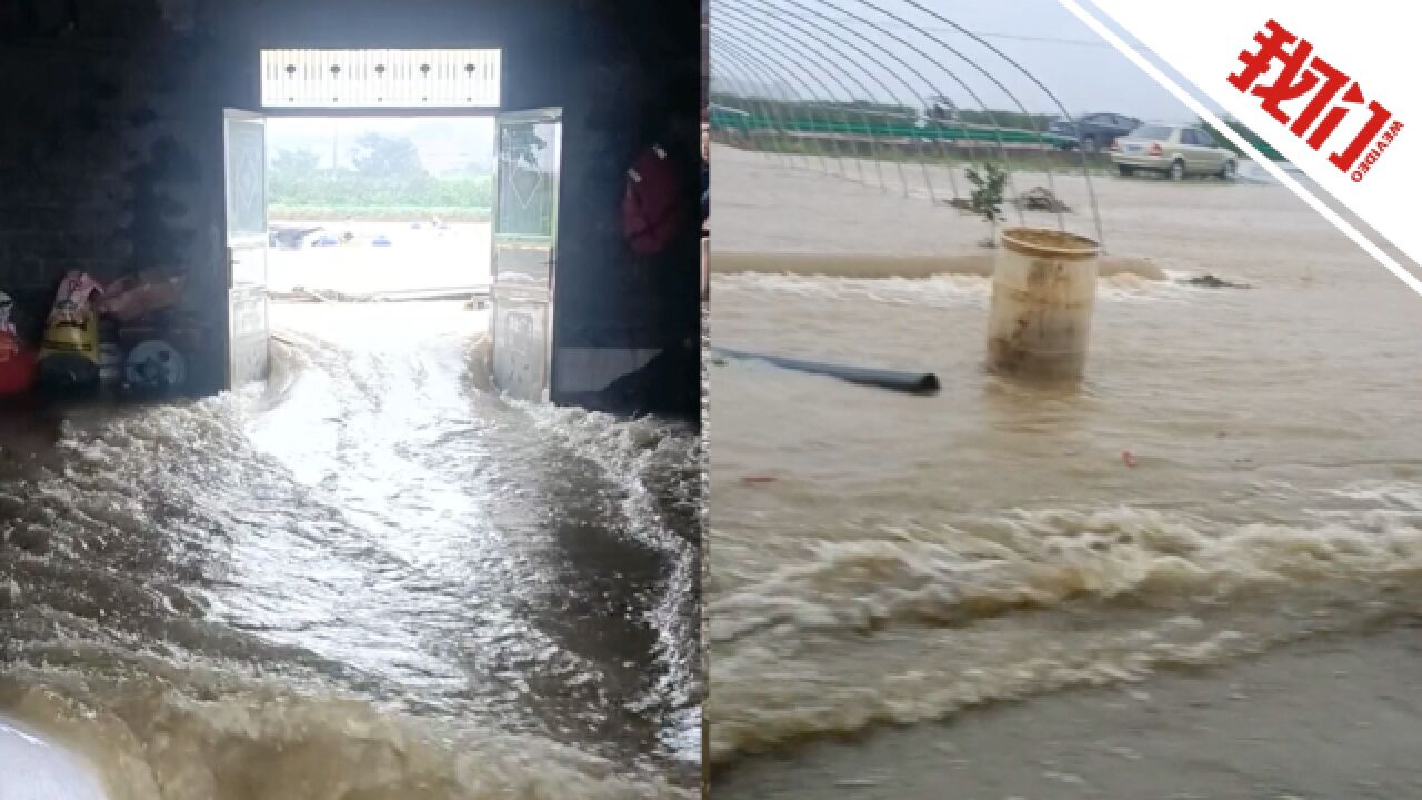 湖北宜都暴雨积水从村民屋里穿过:当地部分民房损坏农作物被毁