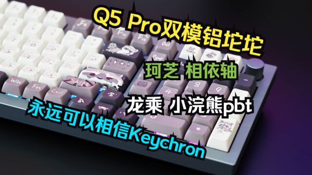 铝坨坨我只选Keychron:Q5 PRO套件+珂芝相依轴+龙乘小浣熊PBT键帽组装