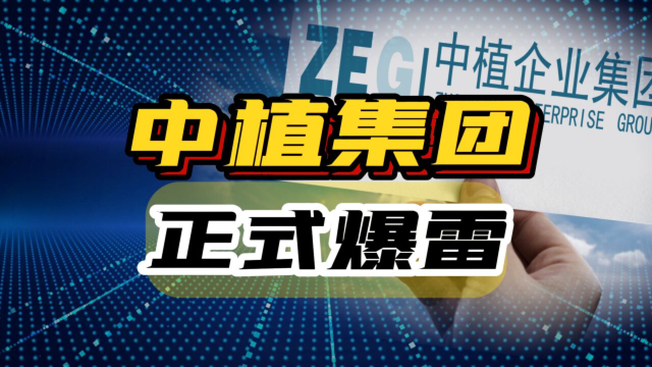 解直锟去世两年后,中植集团严重资不抵债,雷还是暴爆了!