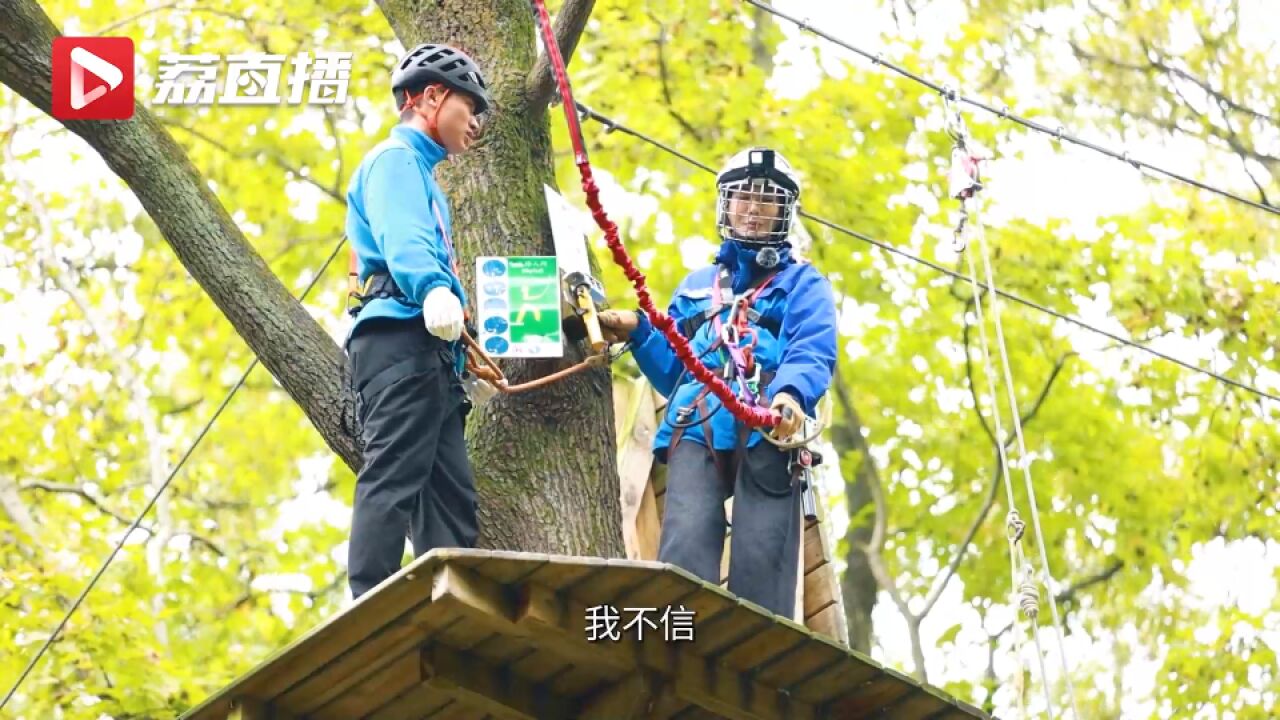 游遍江苏丨换一种方式探险南京紫金山