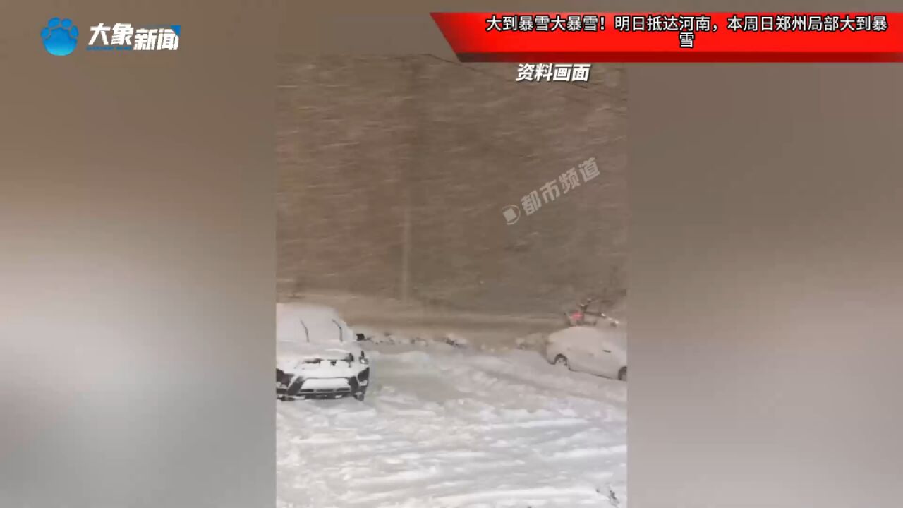 大到暴雪大暴雪!明日抵达河南,本周日郑州局部大到暴雪