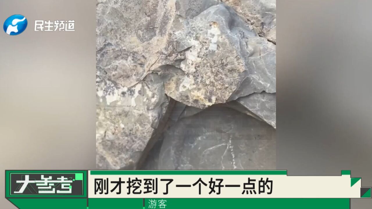 新密一村庄疑似挖出大量“三叶虫”化石,现场已拉起警戒线