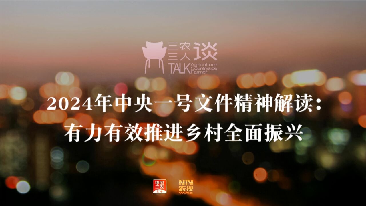 三农三人谈丨2024年中央一号文件精神解读:有力有效推进乡村全面振兴