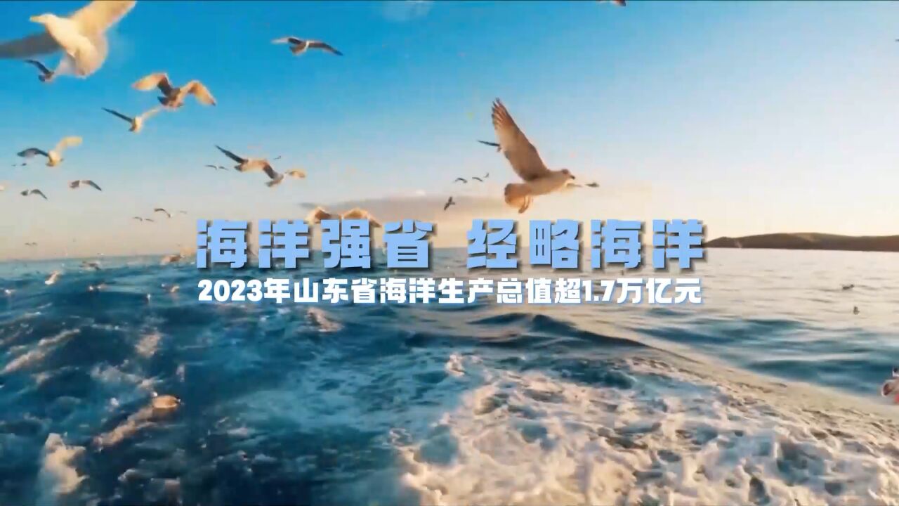 海洋强省 经略海洋丨新突破!2023年山东省海洋生产总值超1.7万亿元