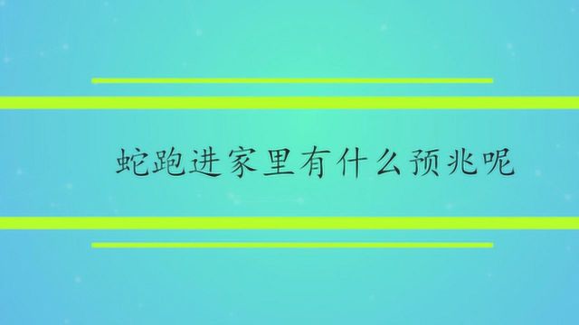 蛇跑进家里有什么预兆呢