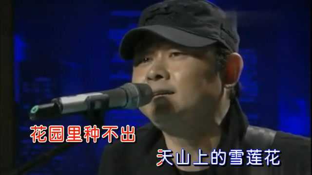 刀郎《艾里莆和赛乃姆》,苍凉的歌声演绎一段凄美的爱情故事!