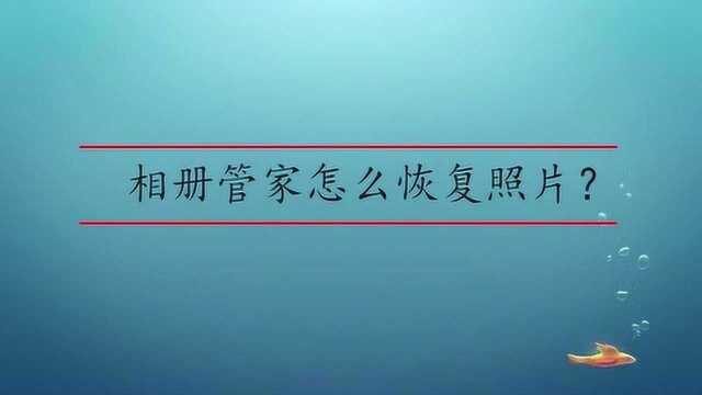 相册管家怎么恢复照片?