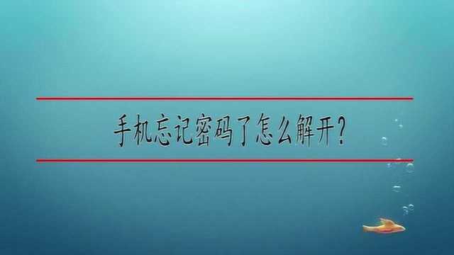 手机忘记密码了怎么解开?